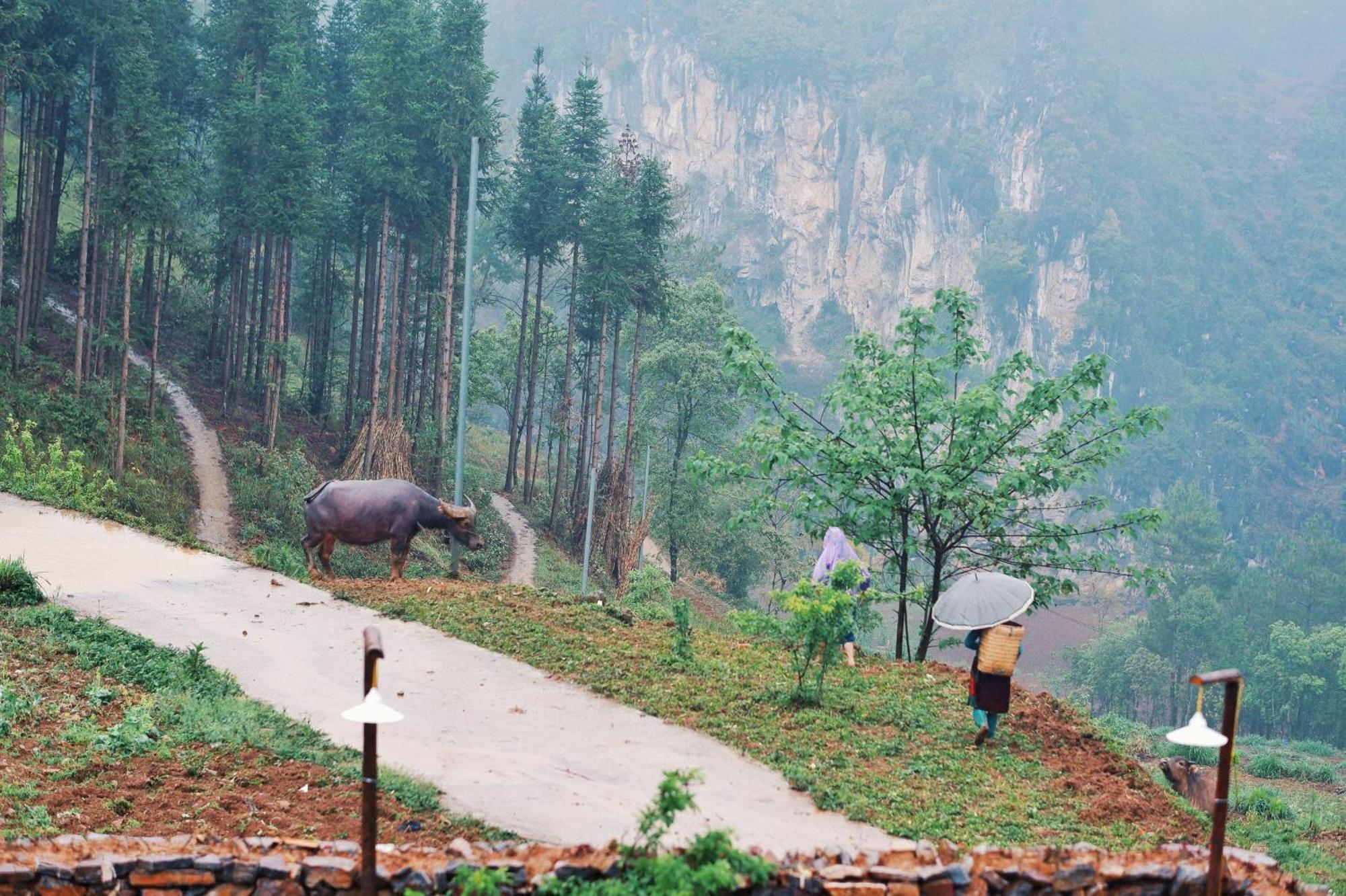 Maison De Hill Home Đồng Văn Esterno foto