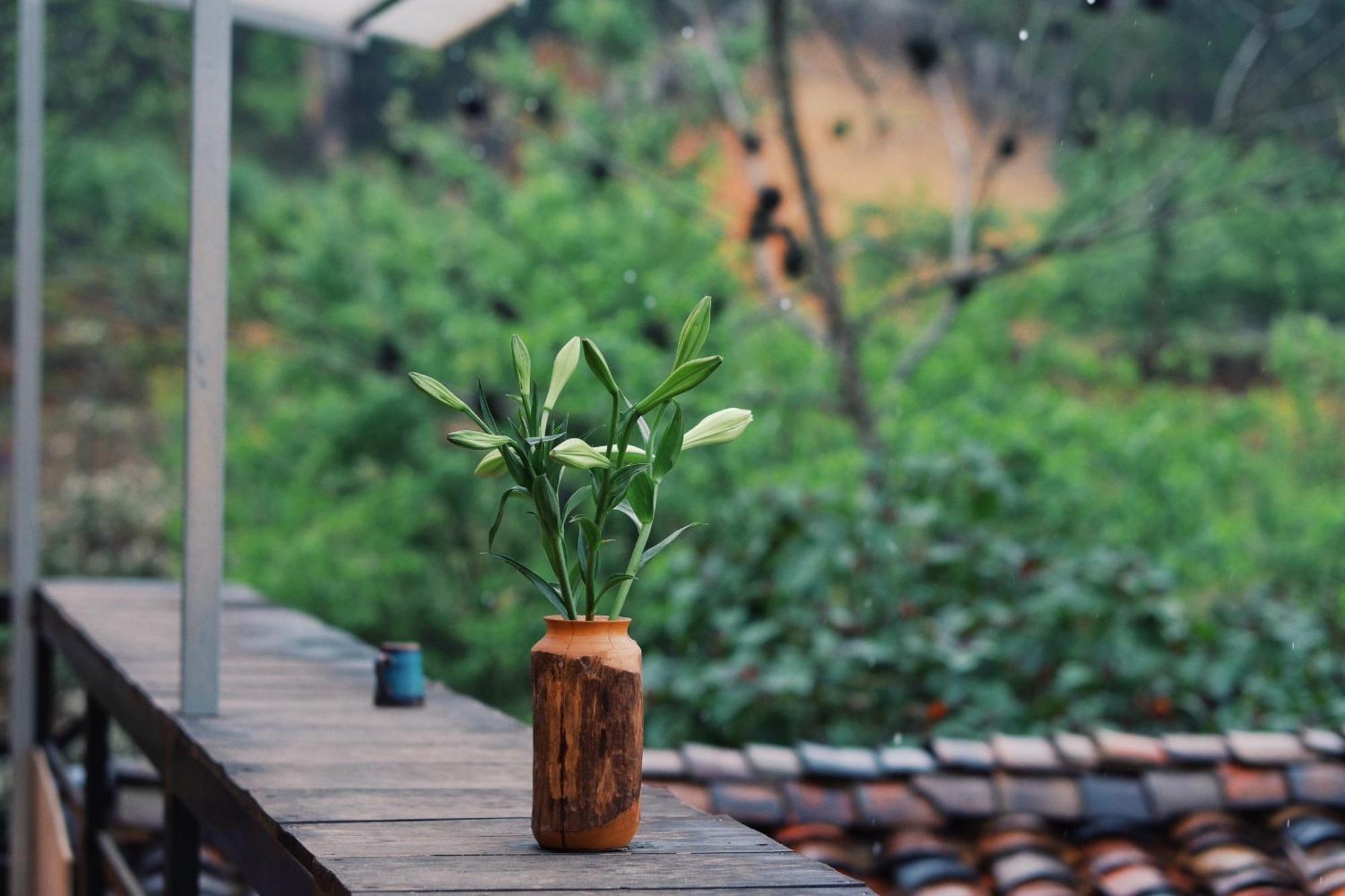 Maison De Hill Home Đồng Văn Esterno foto