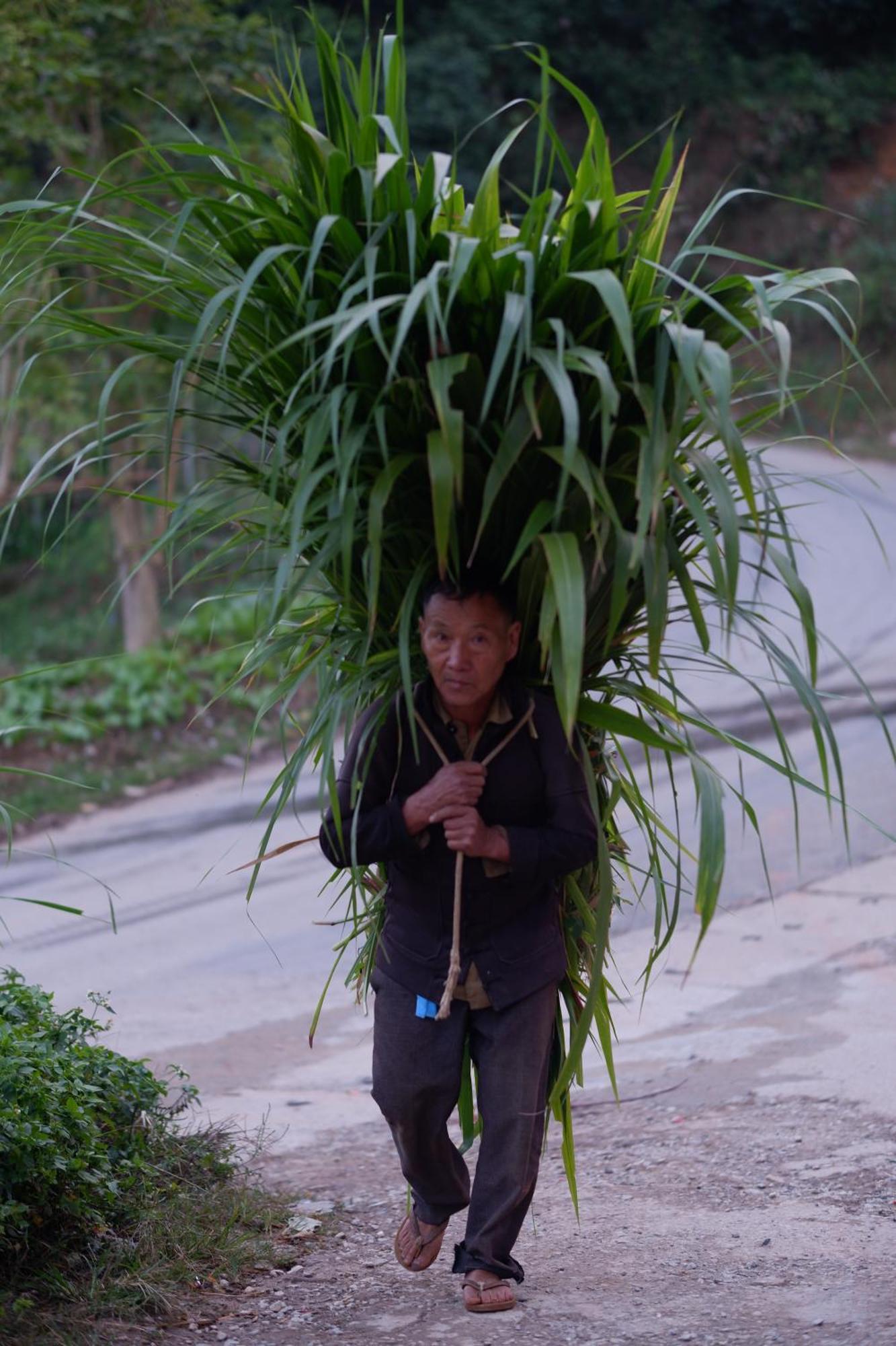 Maison De Hill Home Đồng Văn Esterno foto